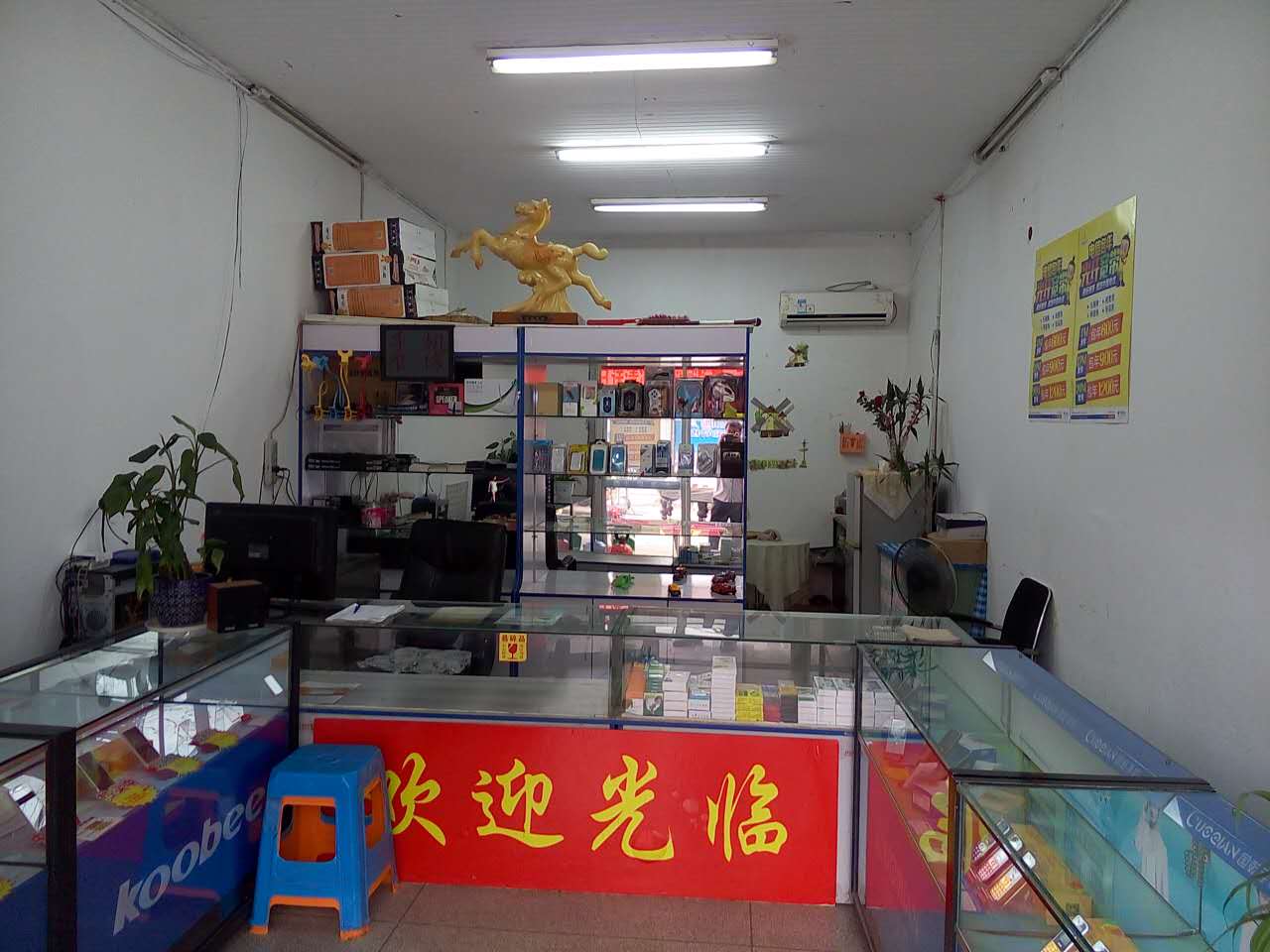 �������ͨѶ�ֻ���ת�� �ѳɽ� ת�����ڣ�12��