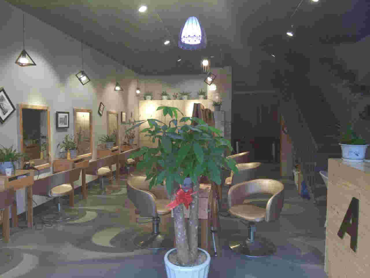 �����·������ת�� �ѳɽ� �ɽ����ڣ�17��