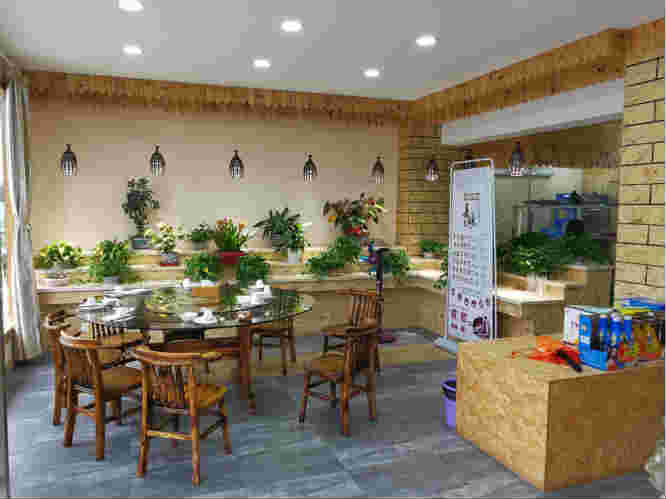 ������԰�¶�������ʳ�ַ���ת�� �ѳɽ�