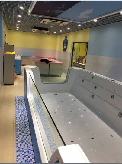 º�Ƕ�ͯ��Ӿ��ת��  �ѳɽ�  