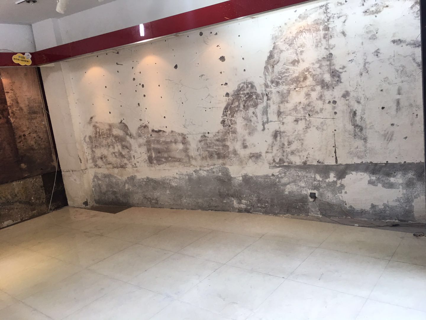 ����񴴼�����������ת��  ��ת��