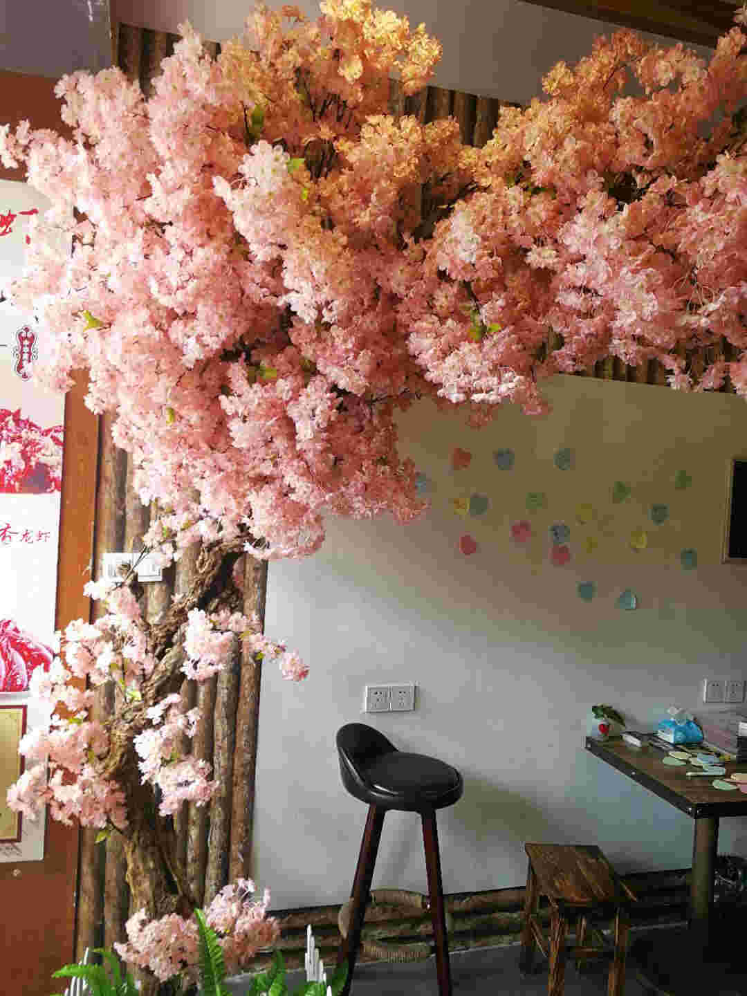 �����ѧ��ӯ���͹�ת�� �ѳɽ�