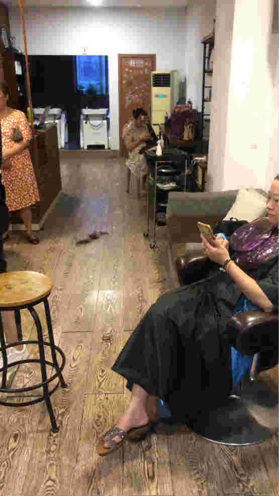 �����⻪·С���ſ�������ת��