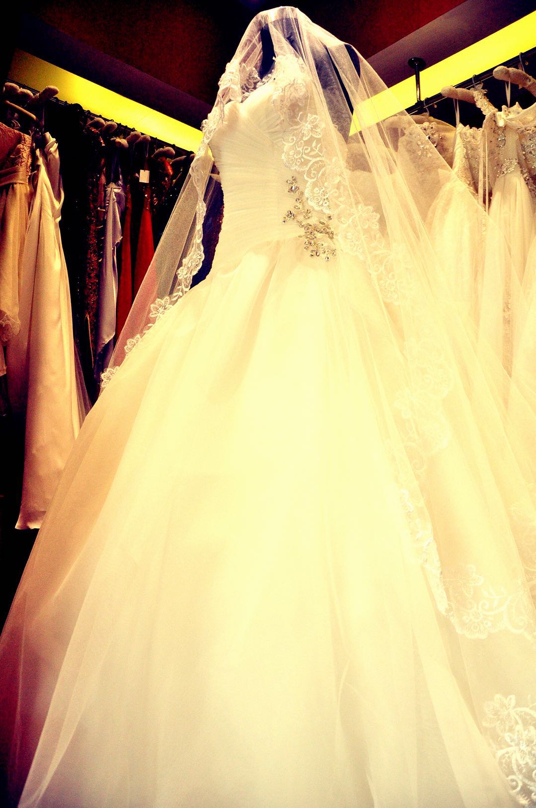 ���������ٽ�ӯ������ת��