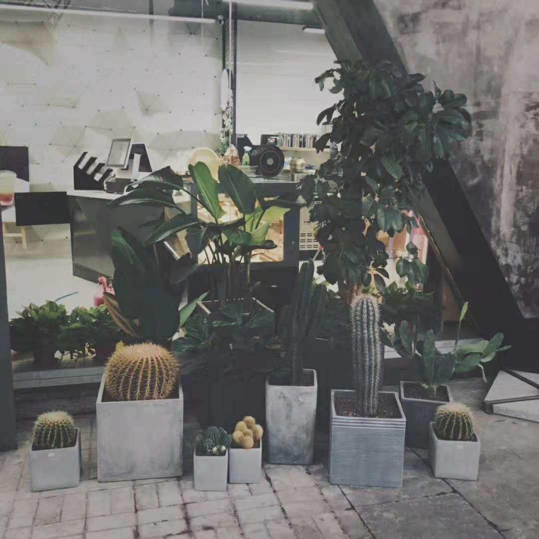 ��¥����Сʱ���̲��ת��