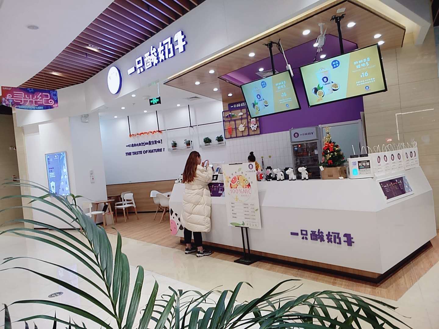 �����̲��ת��