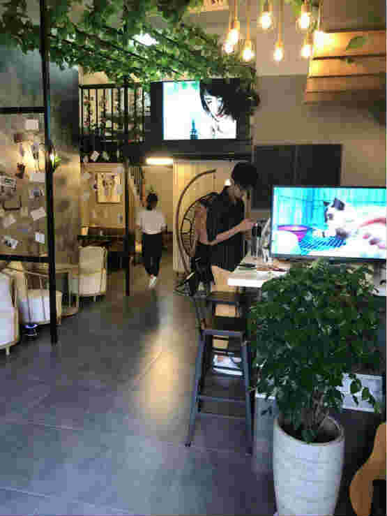 ������÷��԰è�俧�ȵ�ת�� �ѳɽ�