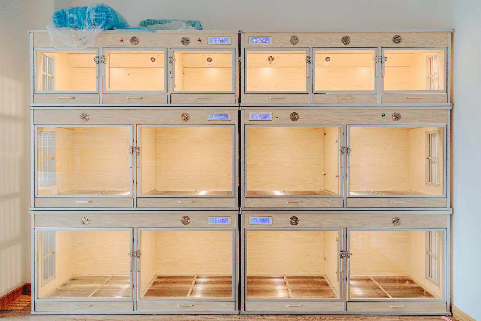 ��¥С���ſڳ����ת��  �ѳɽ�