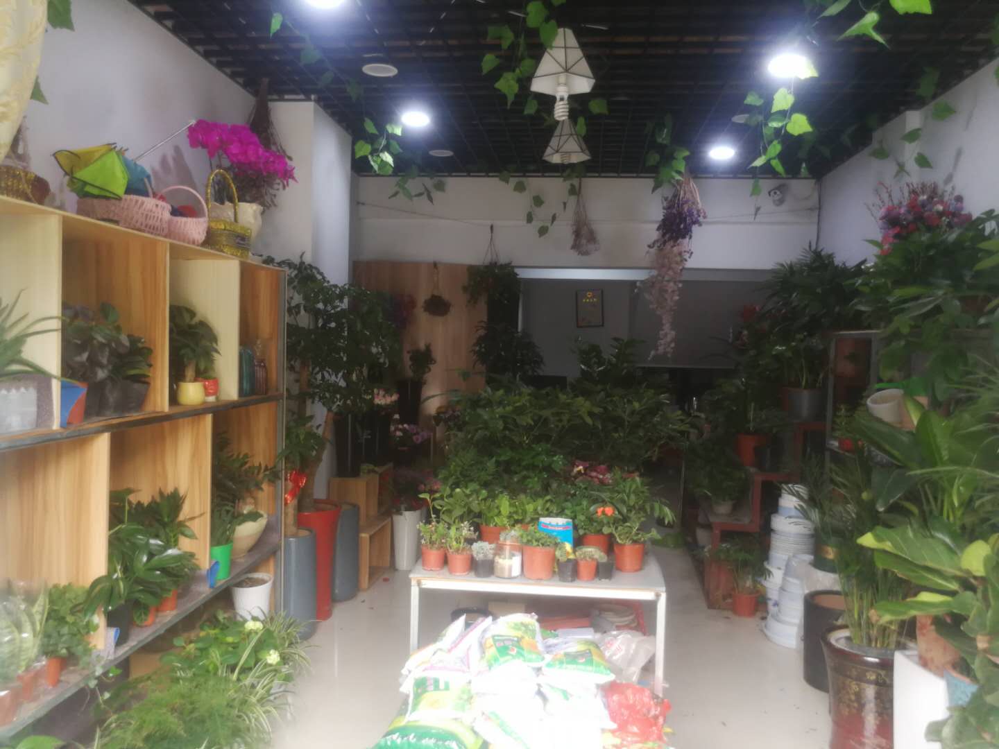 �±���������ת��  ��ת��