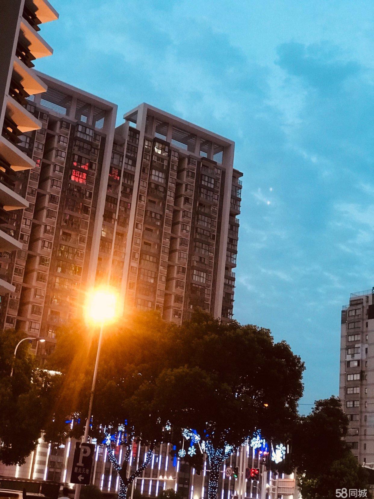 ��¥�κ�ʢ������ת��