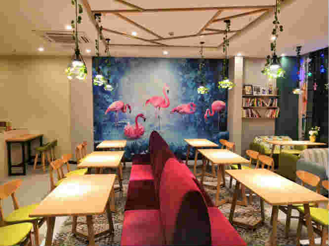 ��̳ӯ��������ת�÷��� �ѳɽ�