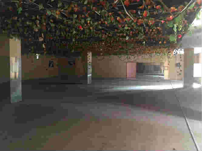 �����ļ�ʢԷ�˳��Ա���¥���̳���