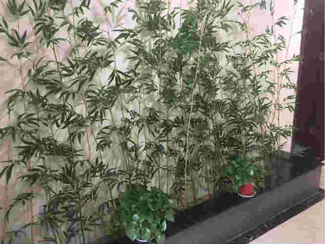 ��¥ӯ������������ת��