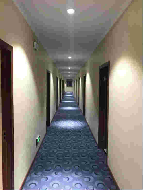 ���������Ƶ�ת��