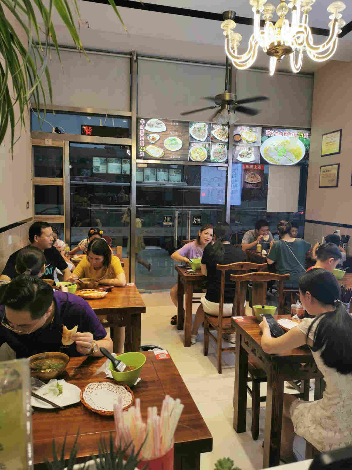 �����԰�ֲ͹�ת�� �ѳɽ�