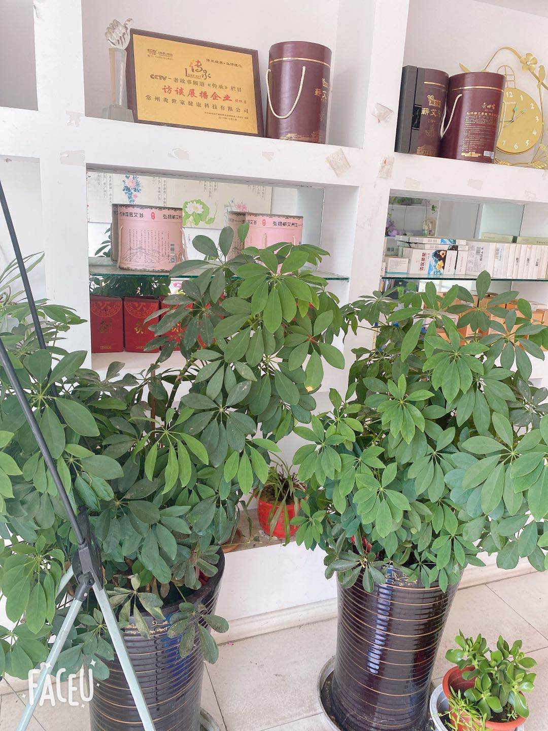 ����������ݵ�ת�ô���Ա