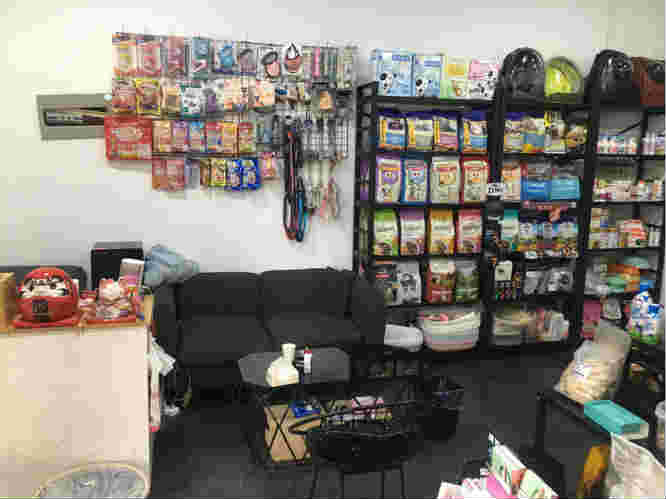 ����С�������ת��