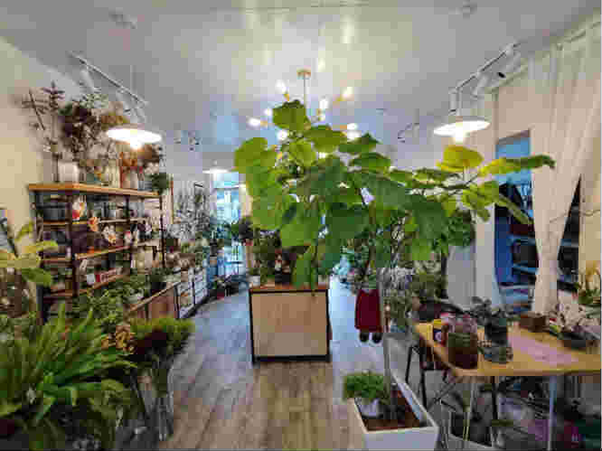 ��¥����ת��