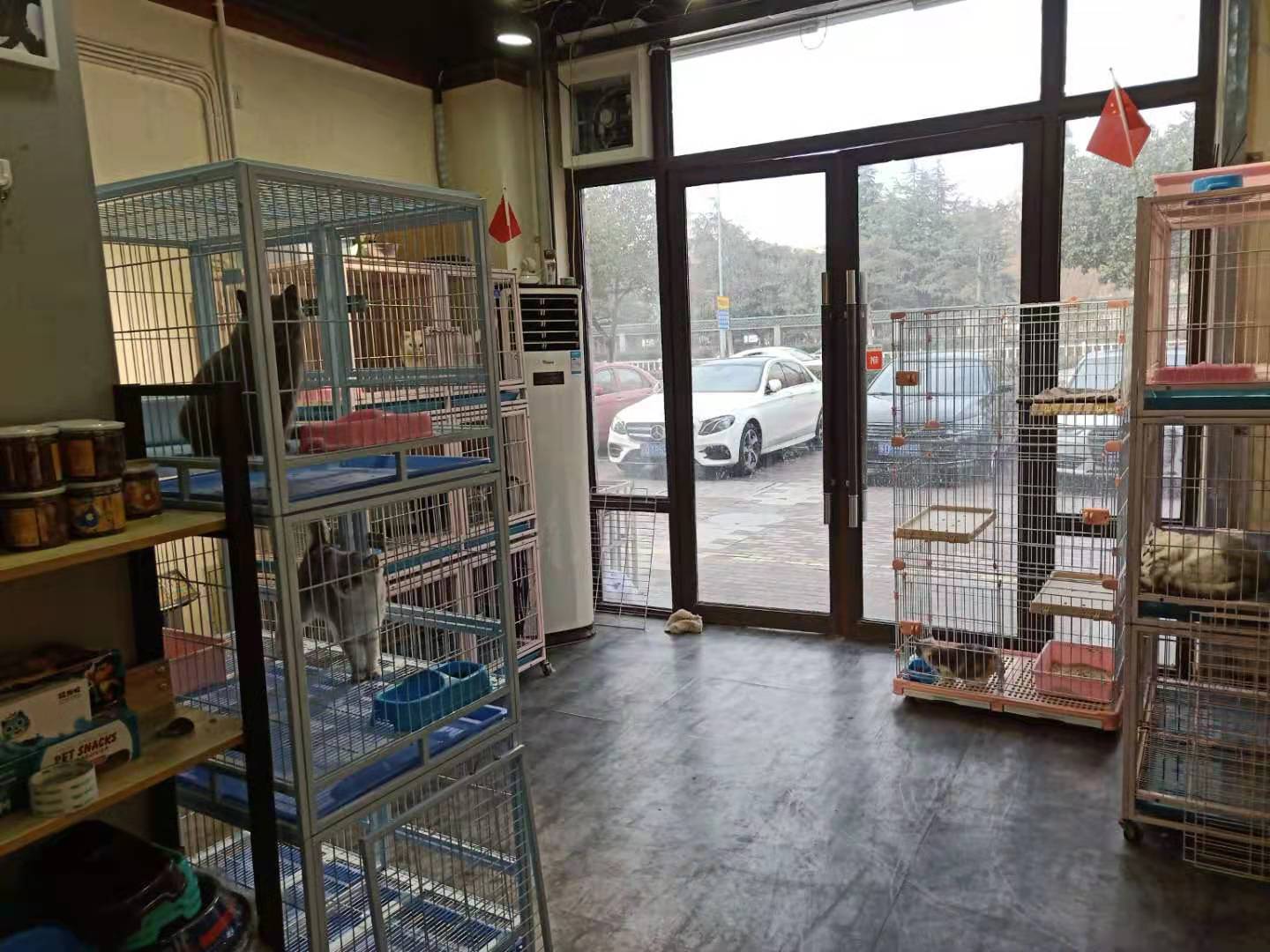 ����������������ת��  �ѳɽ�