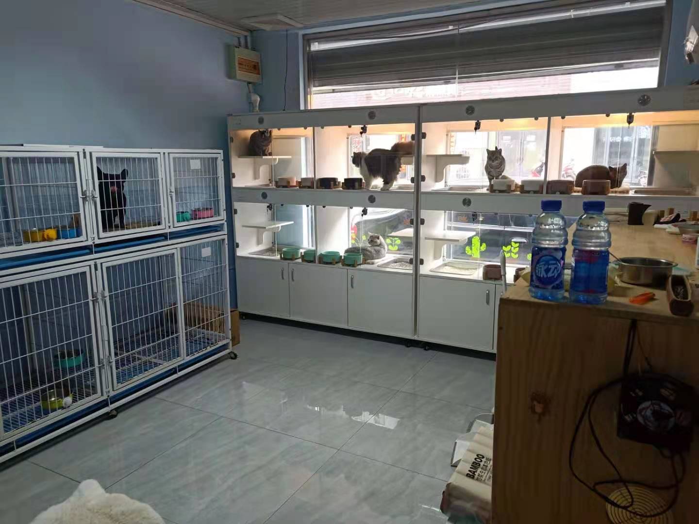 ������������ת��   �ѳɽ�