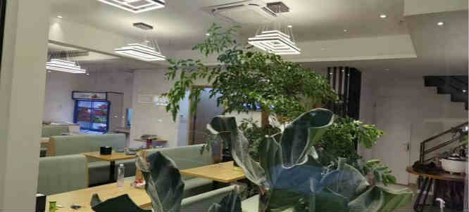 �±�����ת��