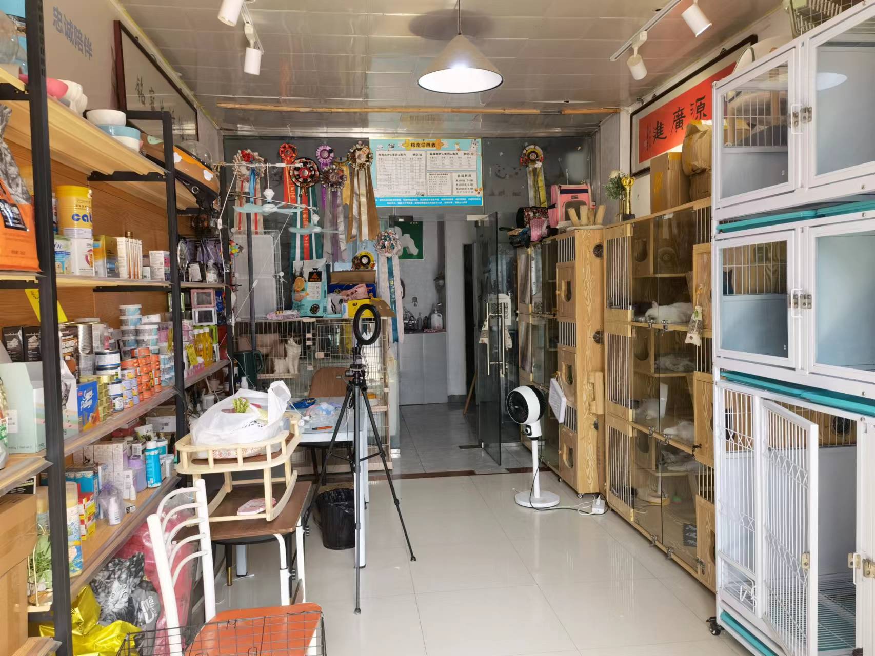 ������ɳǳ����ת��