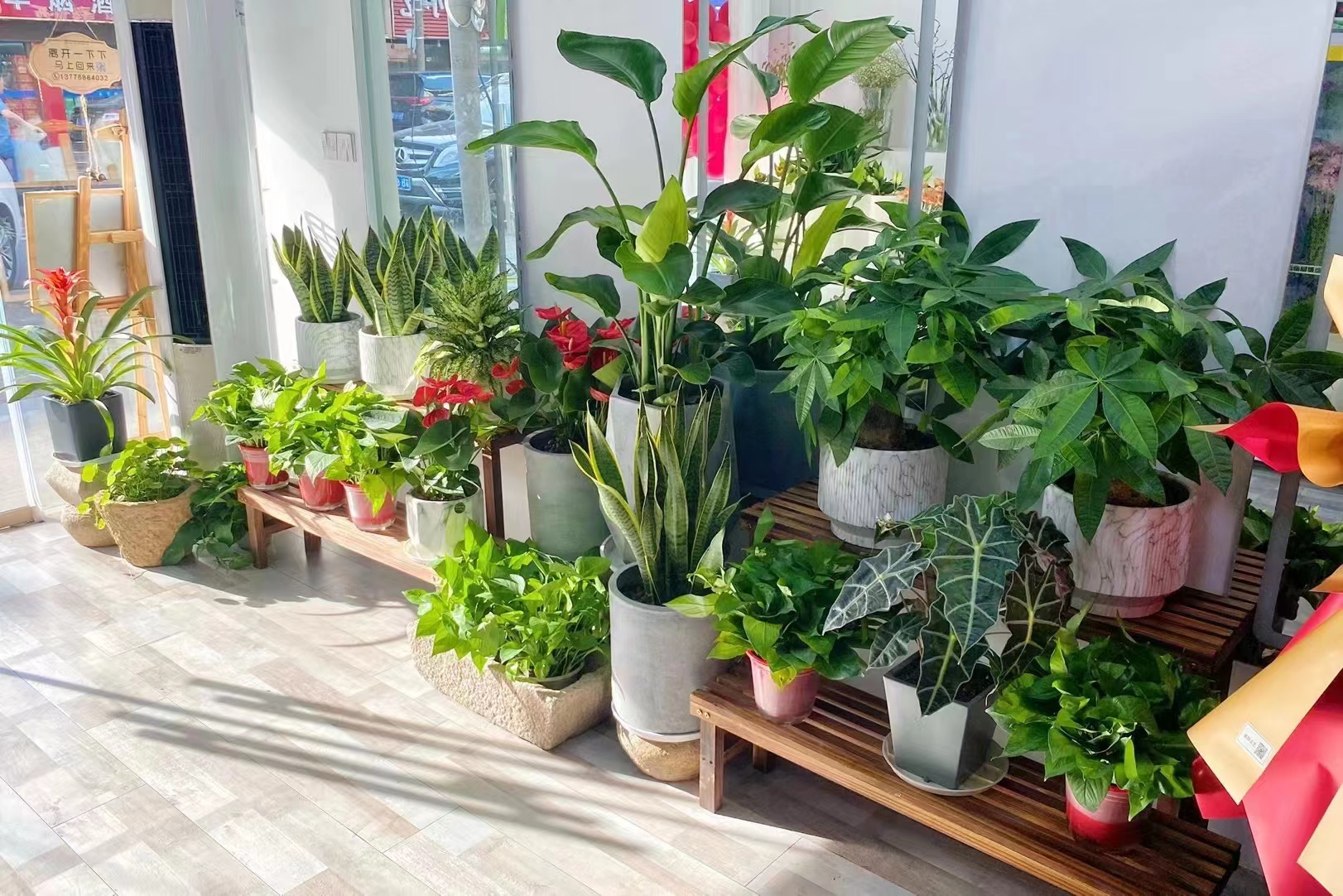 ���ѩ���Ͻ־�װ��ӯ������ת��