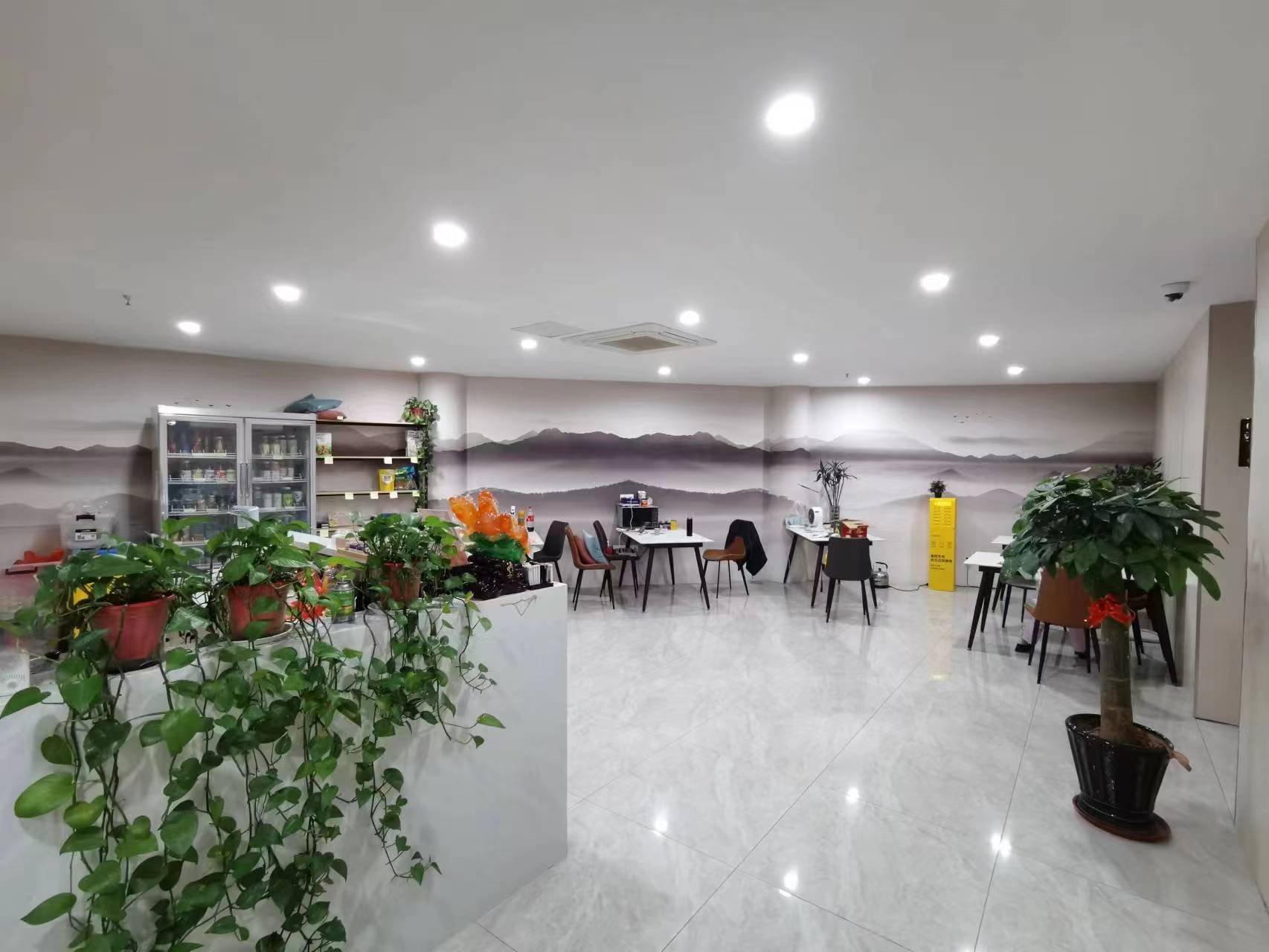 ��������������ת��