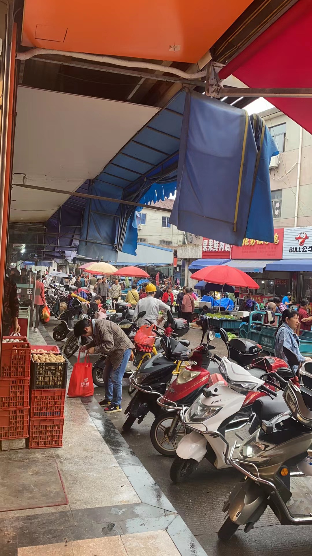 ���ѩ�߲˳���±�˵�ת�� ��ת��