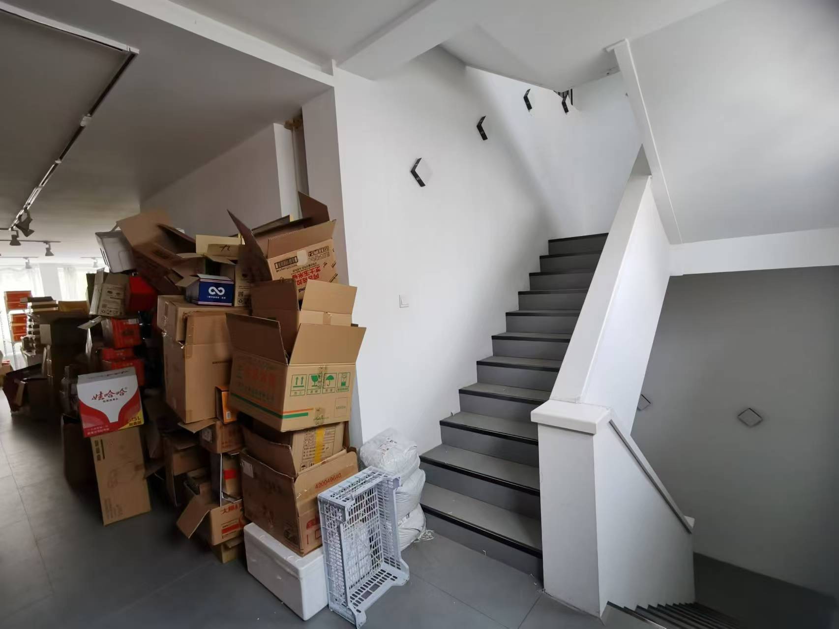 �±��Ӻ��˳��������̳��� ��¥��¥