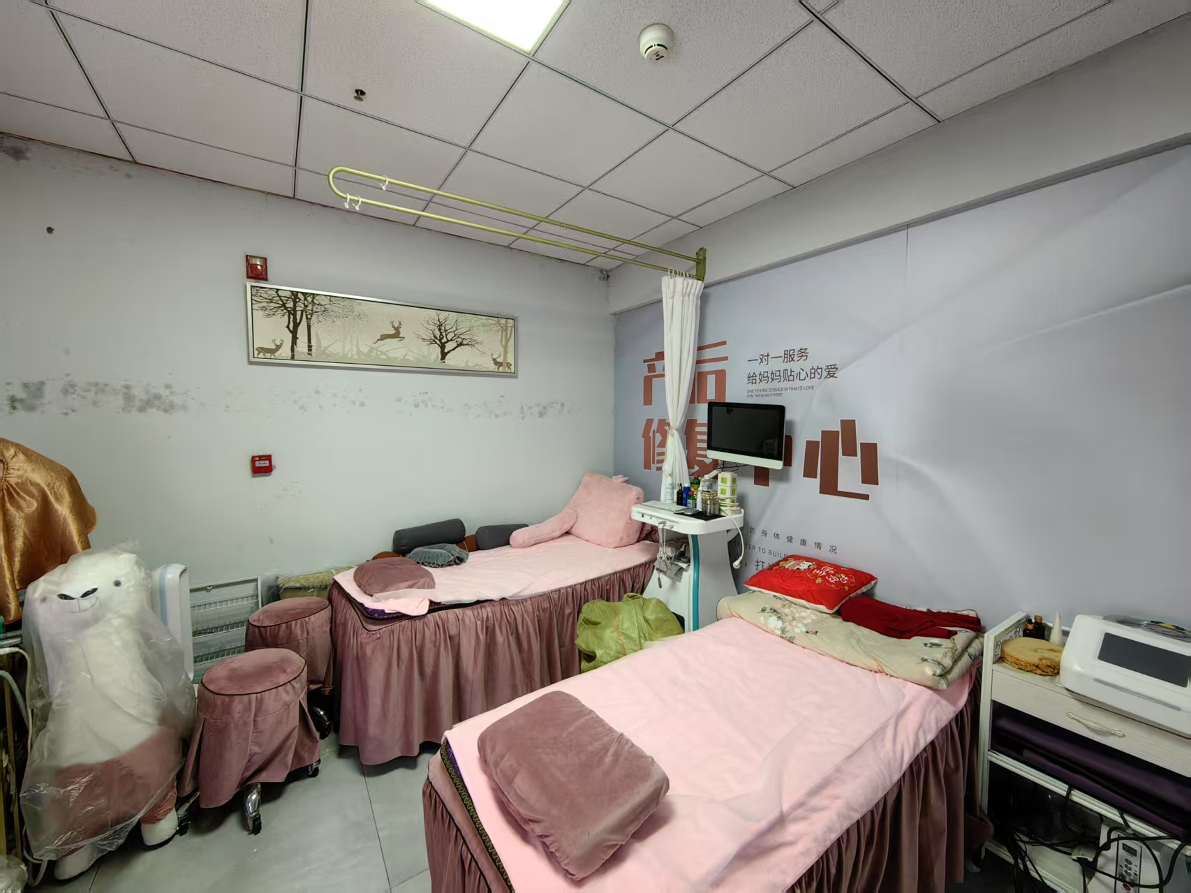 ��������˫����ĸӤ��ת��